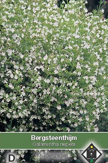 Kleinbltige Bergminze (Calamintha nepeta) 450 Samen